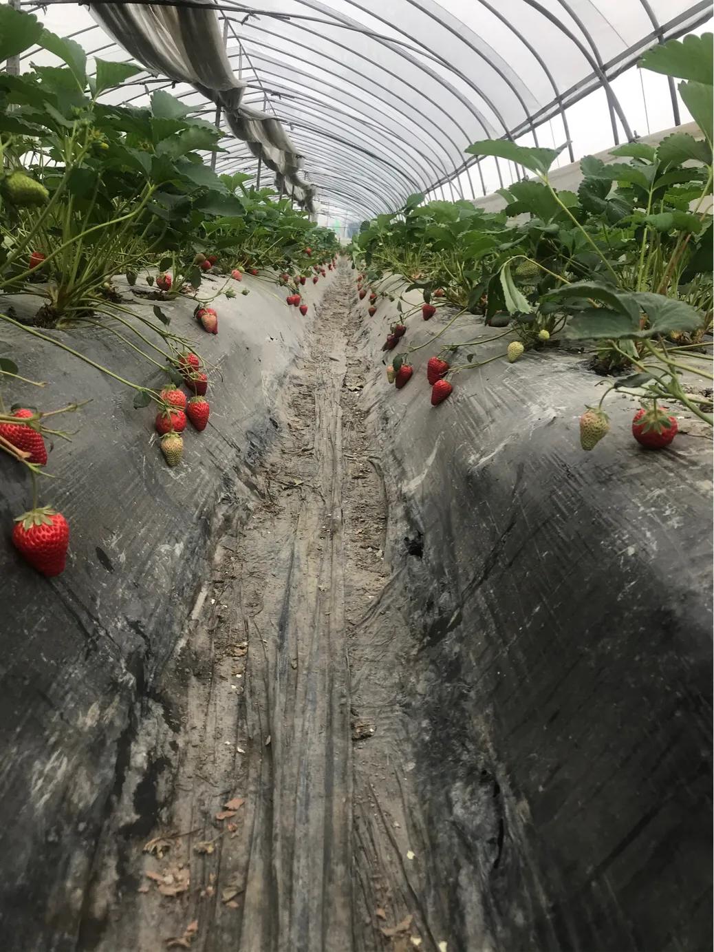 奉化旅游团一日游,奉化乡村一日游最佳景点