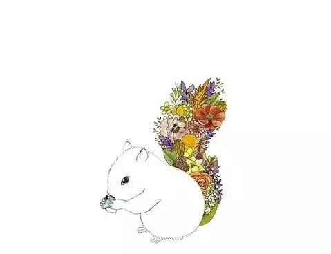 微博里说的经典语录,微博上最火的一句激励语