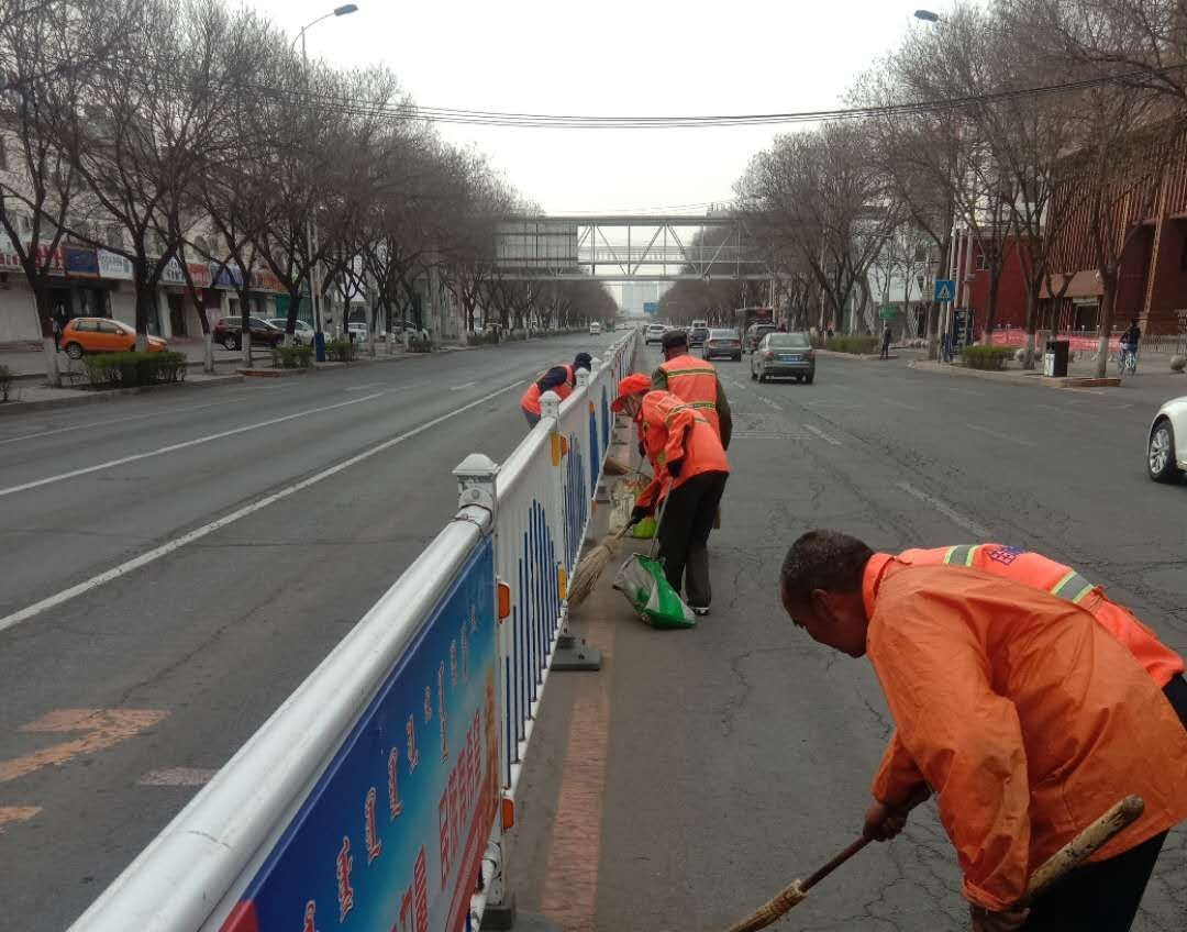 “城市黄玫瑰绽放新英姿”