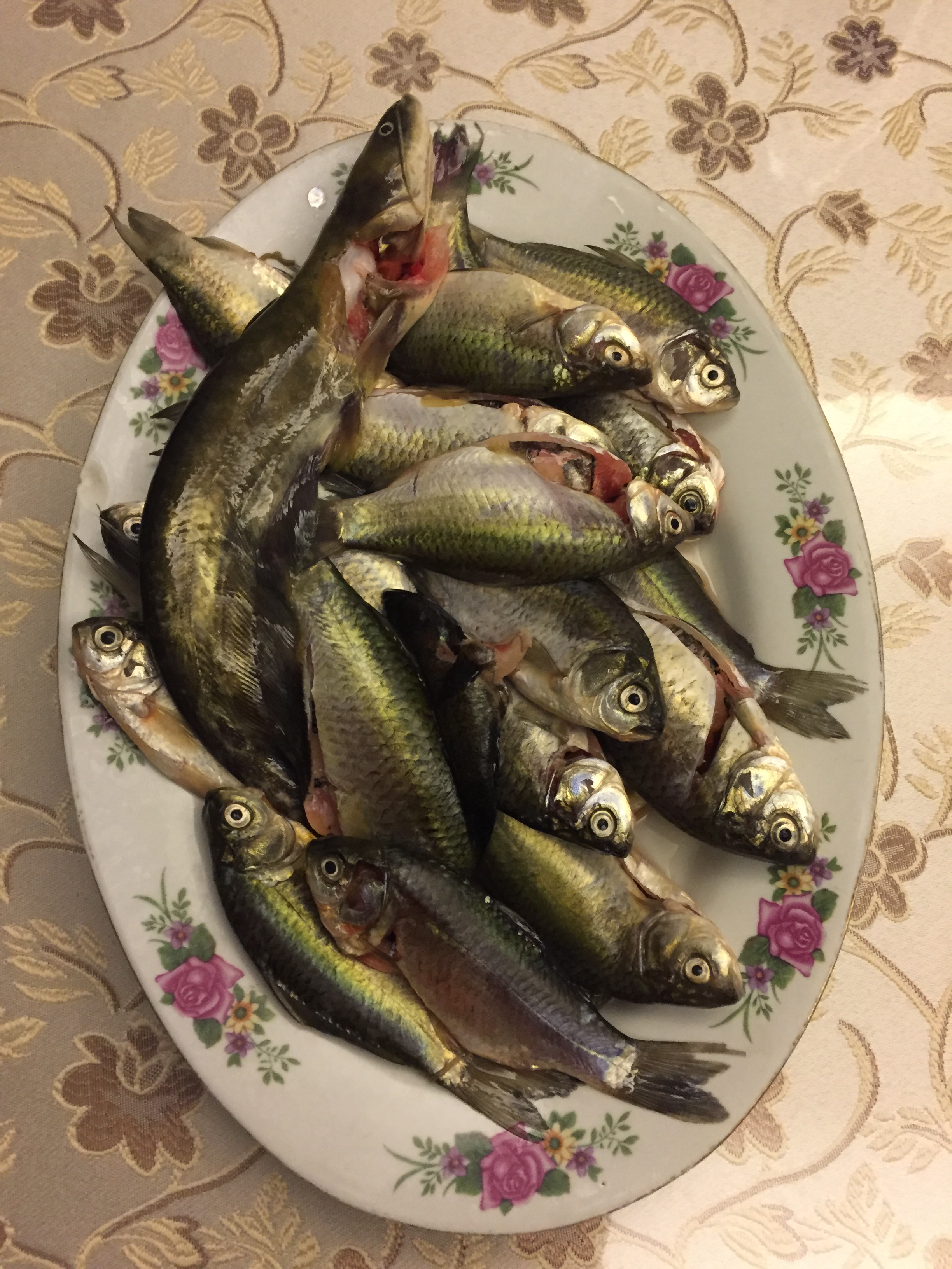 常见小鱼的做法大全,小鱼是怎么做的最鲜嫩