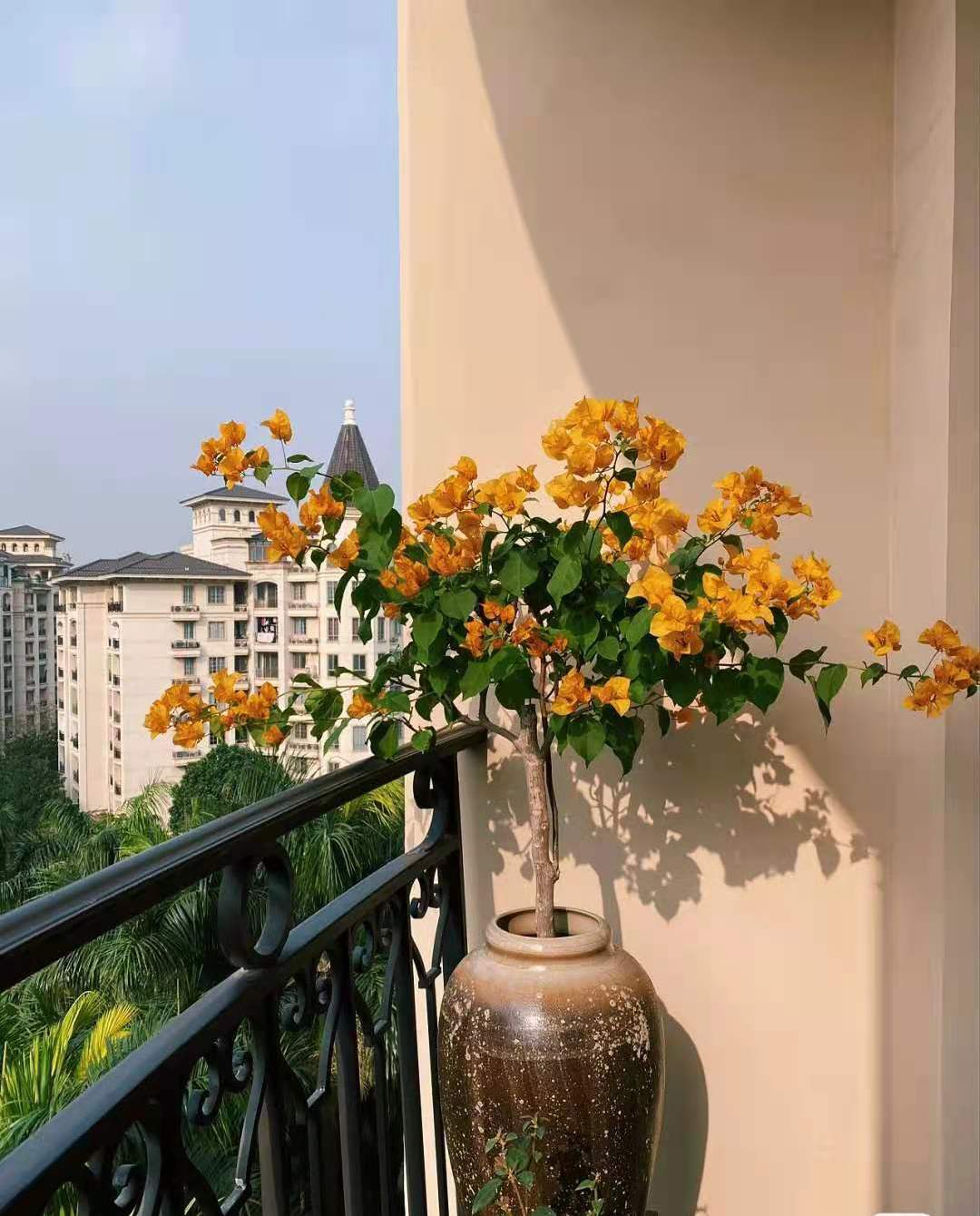 夏季用防晒指数多少的防晒霜合适,夏季防晒霜买30还是50