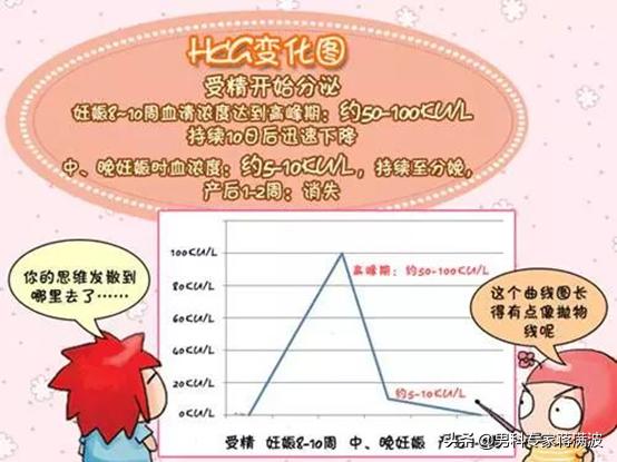 如何看懂hcg报告孕几周,hcg最准确的检测方法