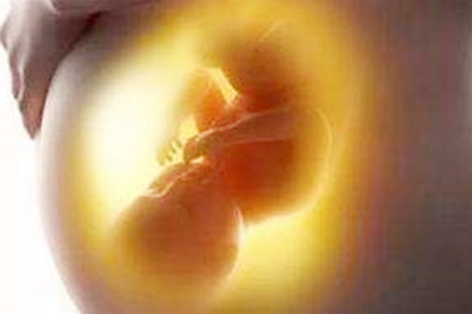 如何判断怀孕？胚胎着床时，女人会有这几种感受，你感受到了吗