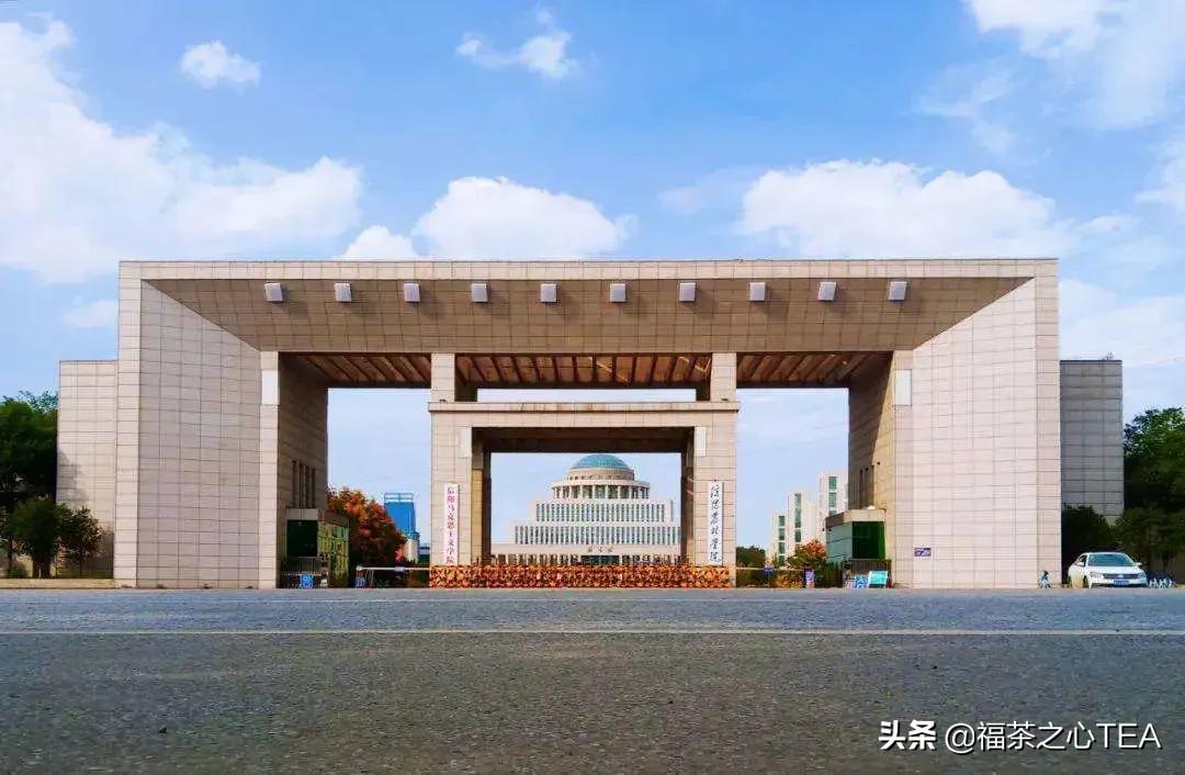 湖南农业大学茶学专业怎么样,广西有哪些高校开设茶学