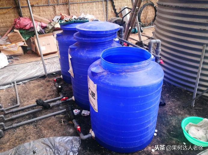 桃树开春管理视频,大棚桃花期用什么药