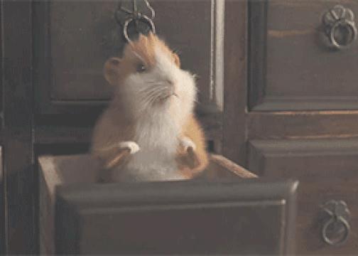 2022全年营销日历来了建议收藏,2019年二月营销日历