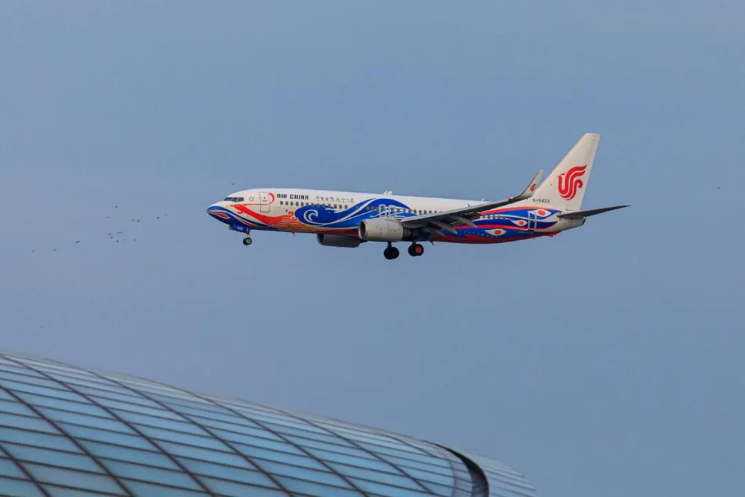 腾龙17-50f2.8镜头怎么样,腾龙150-600g2镜头拍什么好