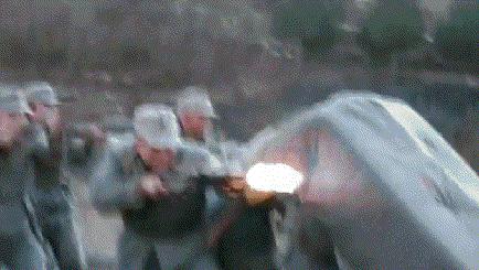 搞笑动图gif动物,搞笑动图gif微信表情包