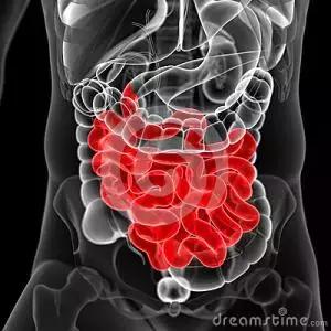 小孩的肠道菌群和母亲菌群,菌群影响神经系统和后天免疫发育