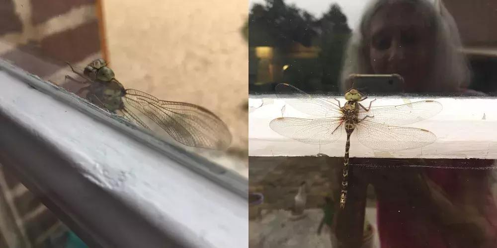 腰臀腹肌马甲线,40岁的腹肌马甲线