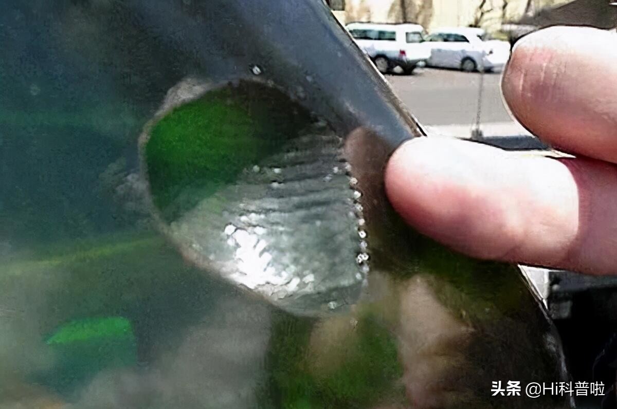 鐢熷悆铏庨哺鍜屽ぇ鐧介波鍜牬娼滆墖,澶х櫧椴ㄨ兘鍜牬铏庨哺