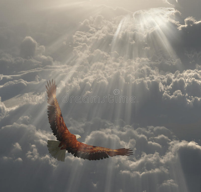 从《金缕衣》让迷失的你找到快乐之门