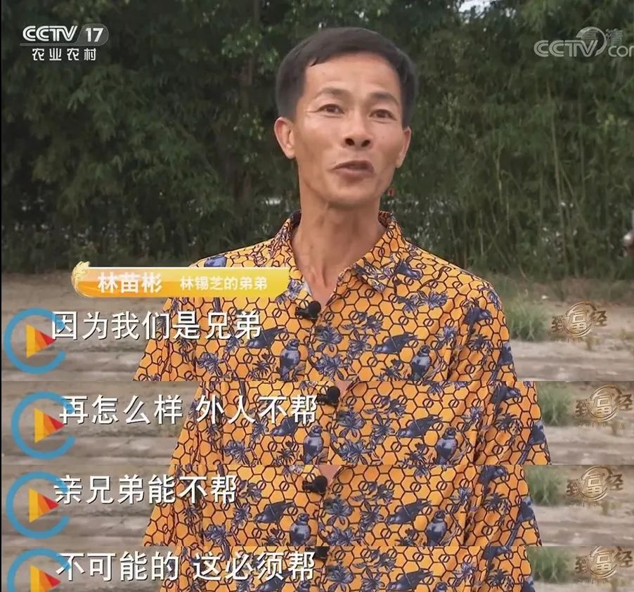 卖光家产！身背巨债！绝望中，他靠一种薄壳的小东西，年赚百万