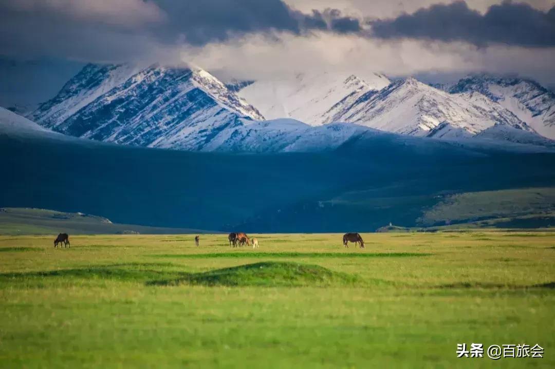七夕，年轻人的专利？我们中老年人表示：不服