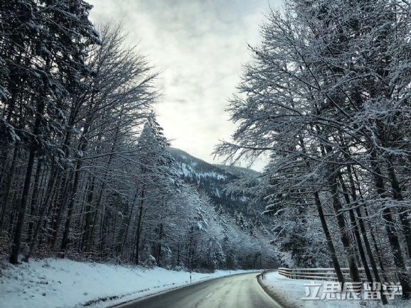 德国留学免费读书,德国留学你能享用到的四大福利