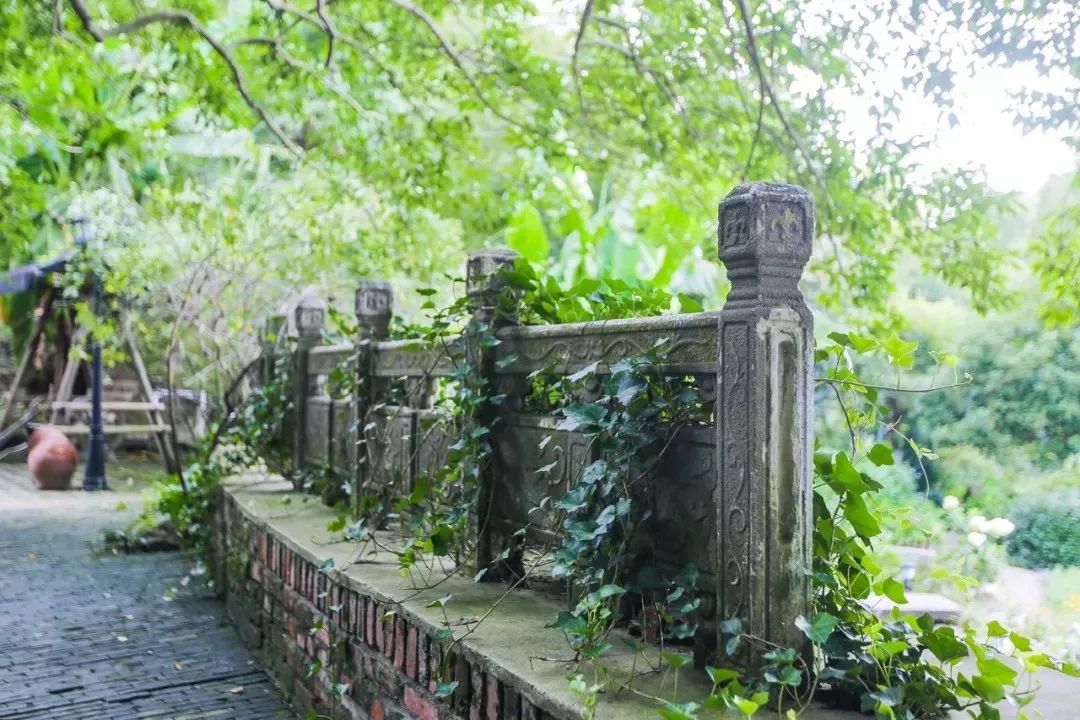 一个安徽爷爷，花1万块种出5000㎡私家花园，被评为中国最美