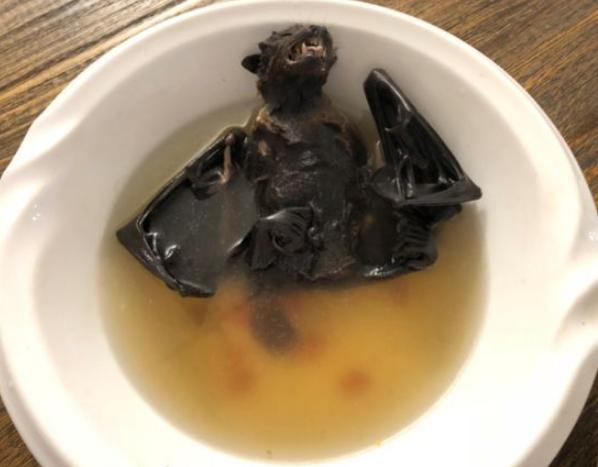 曾是日本殖民地，如今却和日本走得最近，当地人把蝙蝠当美食