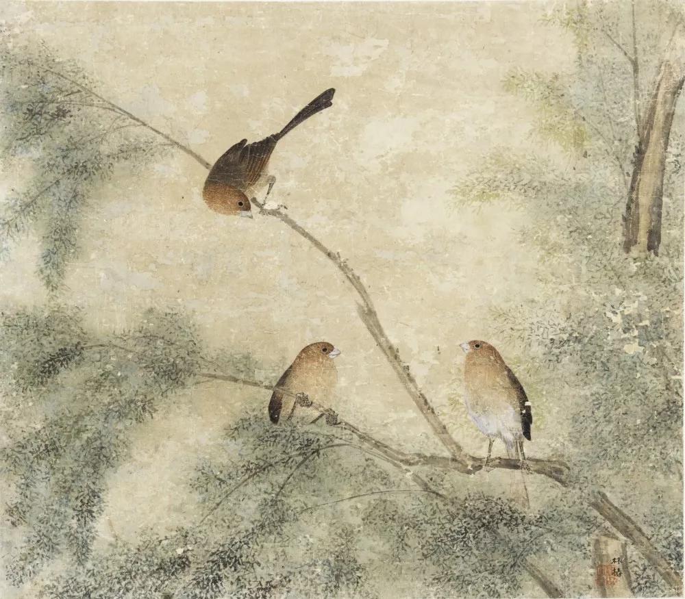 为什么宋朝审美能领先一千年,有人说宋朝审美领先了世界一千年