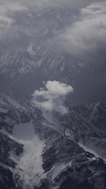 新疆炫富方式是什么,新疆喀什好种的花