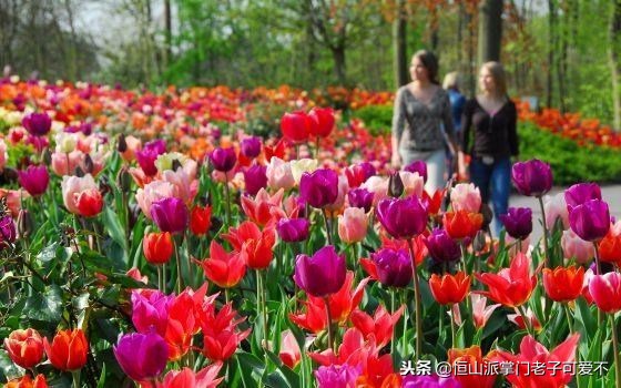 不能错过的狂欢节,不能错过2022年的春天万物复苏