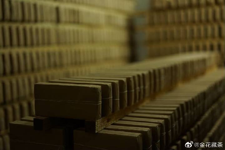 黑茶五步解决黄曲霉毒素风险