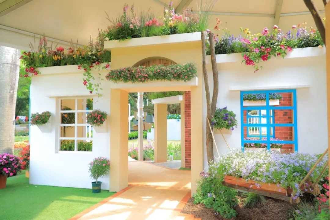 这个花展上的新优品种，为什么这么美？