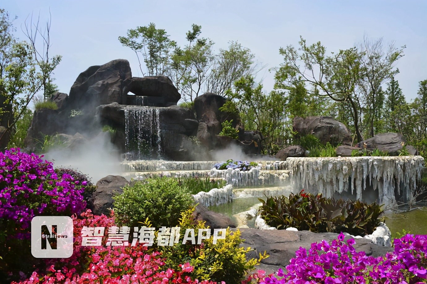 福建表现亮眼！新品种“兰花金边咖啡”获花博会特别大奖