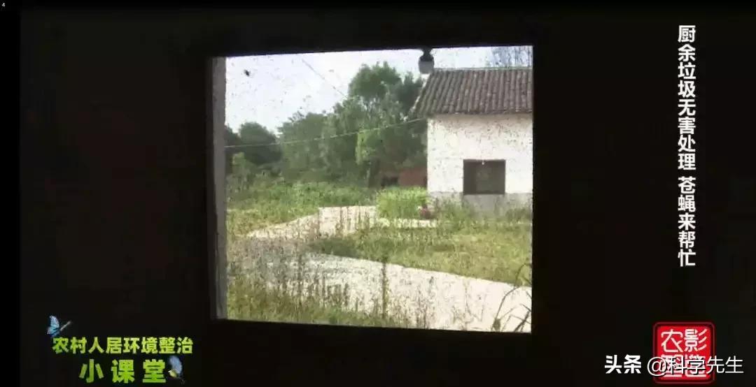 厨余垃圾喷洒什么药剂处理苍蝇,厨余垃圾养殖苍蝇前景如何