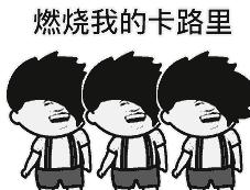 感恩节应该怎么吃火鸡,感恩节人们为什么喜欢吃火鸡