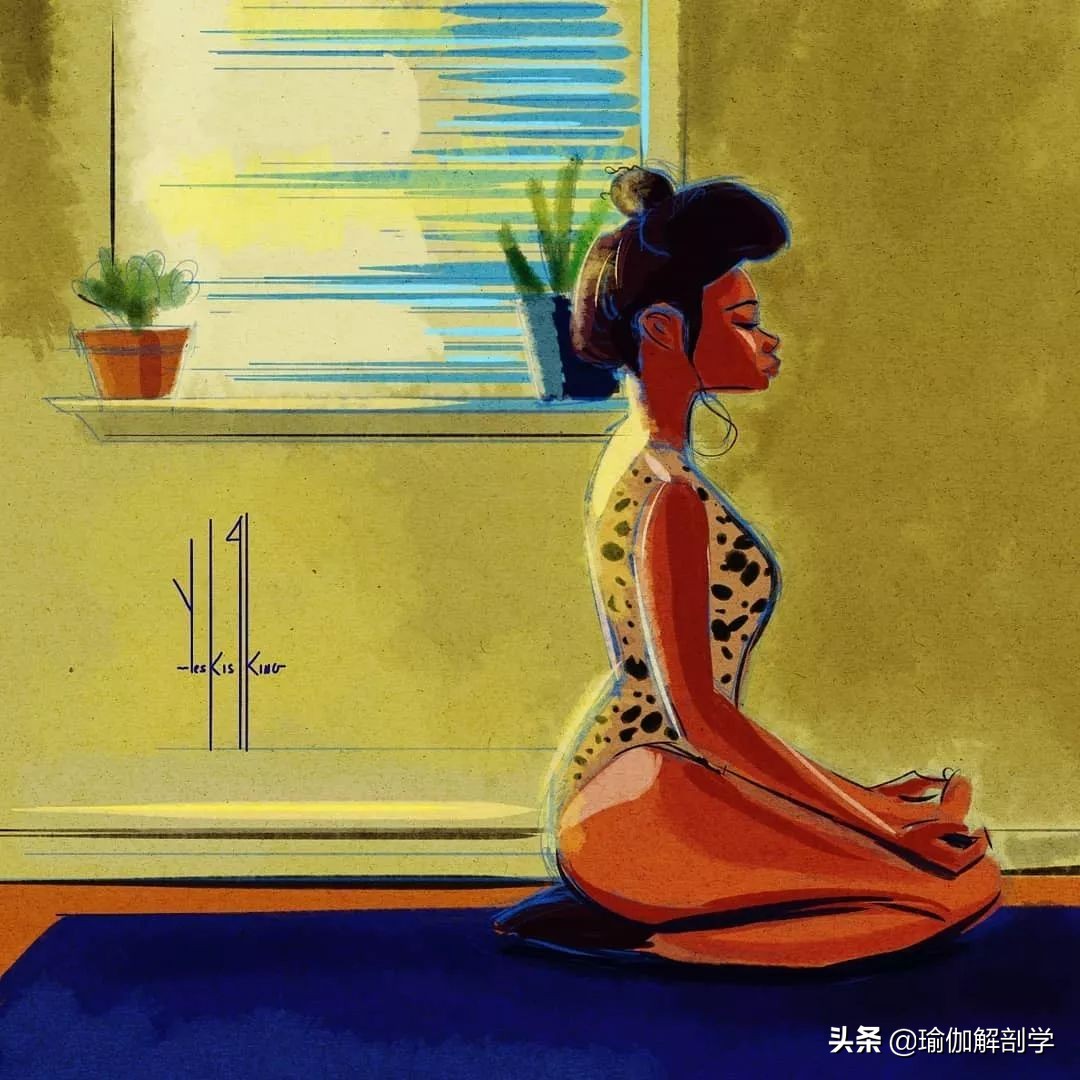 瑜伽从跪姿到坐姿有什么技巧,瑜伽跪式如何练习快速掌握平衡