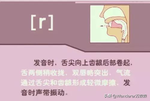 英语48个音标发音附详细图解,音标发音48个正确发音讲解视频