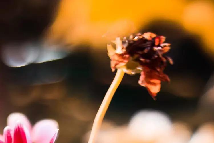 四川省都江堰市玉堂小学,都江堰市玉堂小学四年级1班