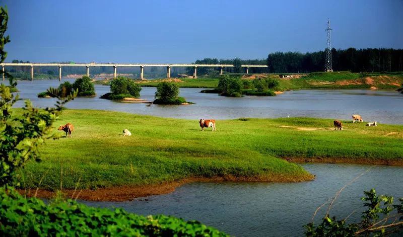 「今日作家」陈洪明‖家乡旧景永难忘（散文）