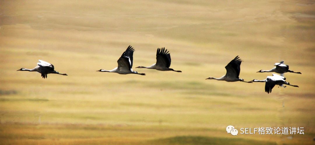 新疆天山世界文化遗产,天山为什么被入选为世界自然遗产