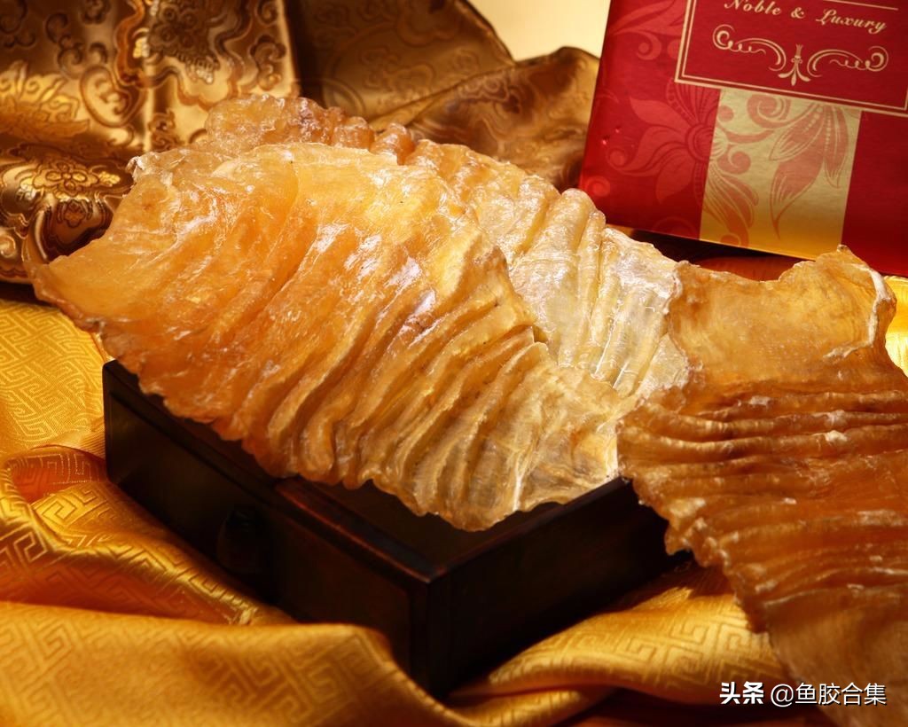 小鱼胶发霉了长毛了还能吃吗,切好的鱼胶发霉了怎么处理