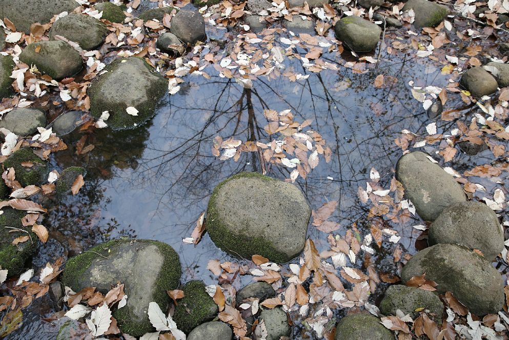 盱眙：你说你喜欢“森系”，而这里就是润肺度假胜地