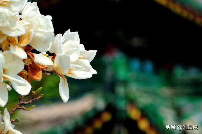 识人术准到吓人的感悟,六条识人术准到你怀疑人生