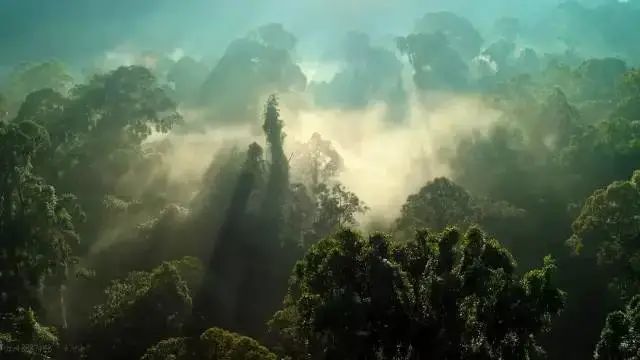 假期儿童纪录片推荐经典,青少年假期推荐纪录片