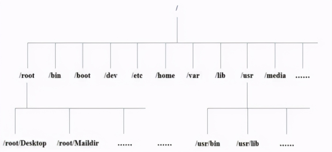 新手如何快速入门linux,linux基础入门教程超详细