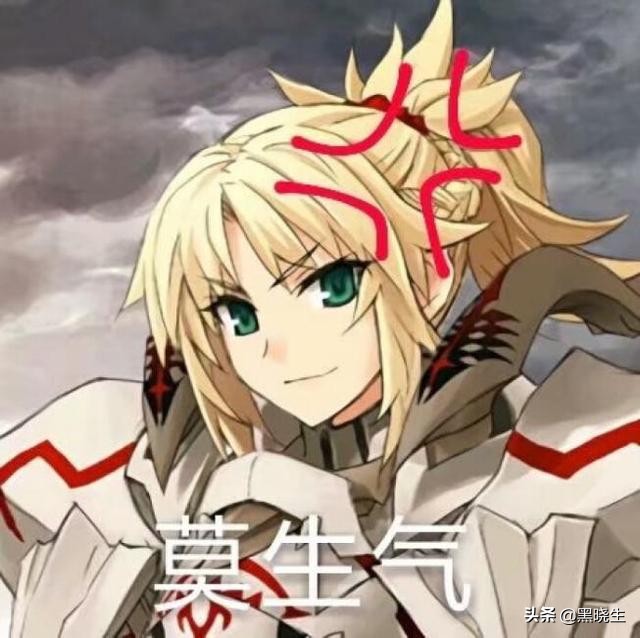 命运冠位指定恩奇都技能解析,命运冠位指定最主流的玩法搭配