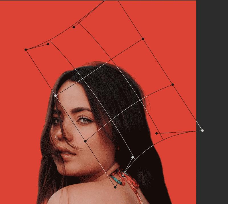 ps画笔毛发,ps初学者详细讲解抠图流程