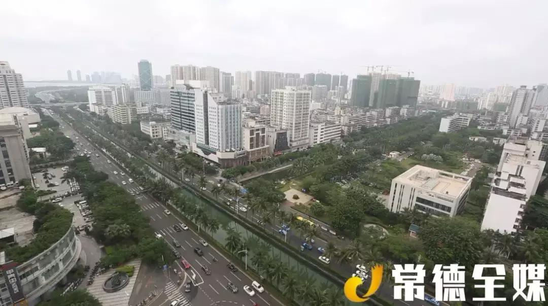 从打桩工做起的常德人，驰骋商界，引进海南第一匹汗血宝马