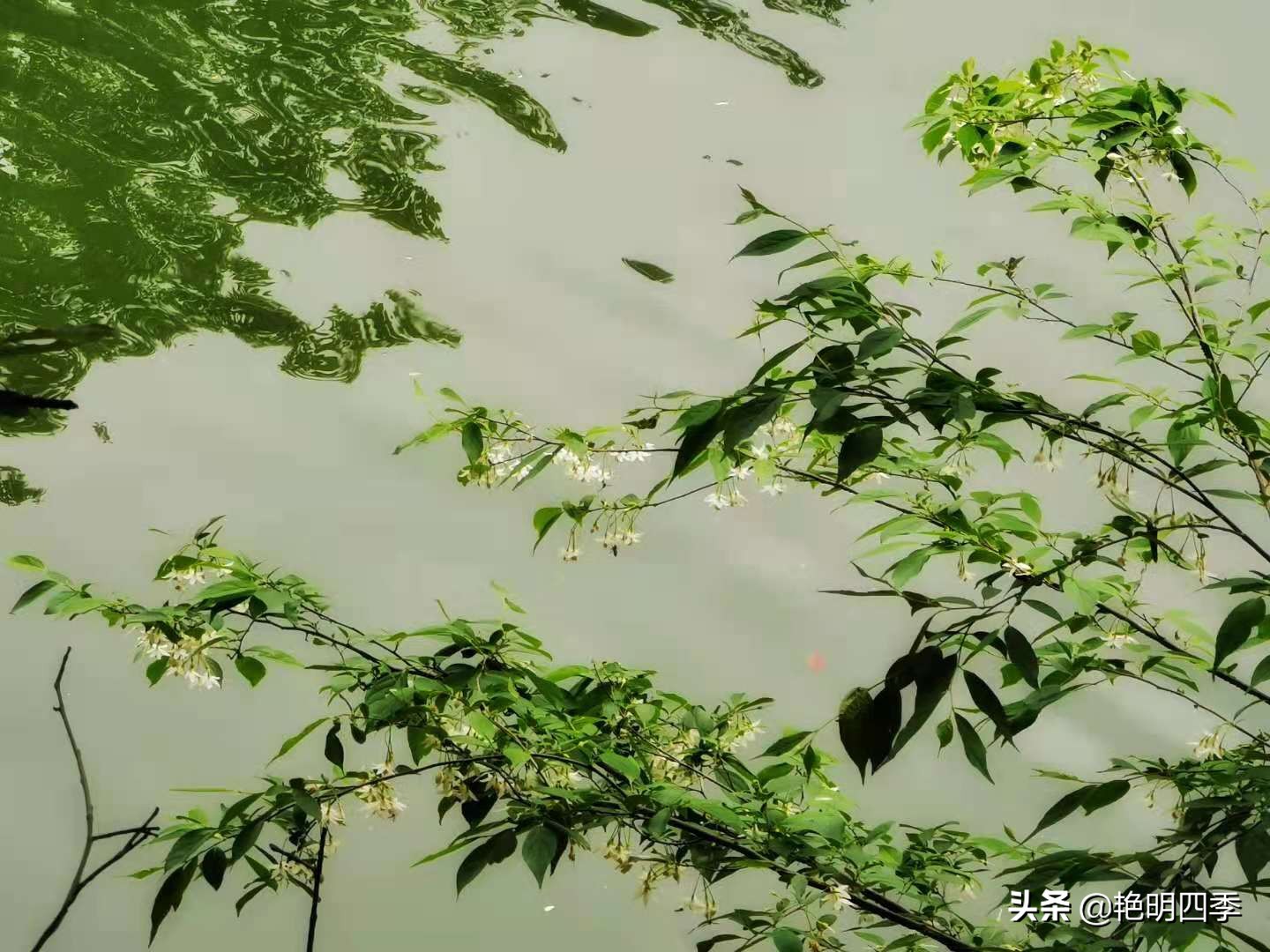 平顶山画眉谷旅行,鲁山县画眉谷视频