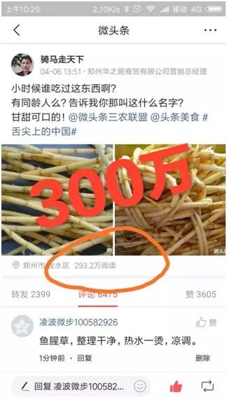 微头条发布什么内容能涨粉,微头条涨粉变现个人经验十讲