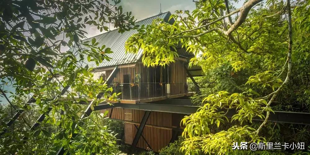 一次只接待一个顾客,一次只接待一个人的酒店