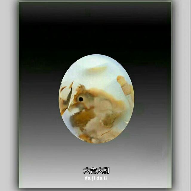 海洋玉髓象形图纹玛瑙,高收藏价值的水纹石图文