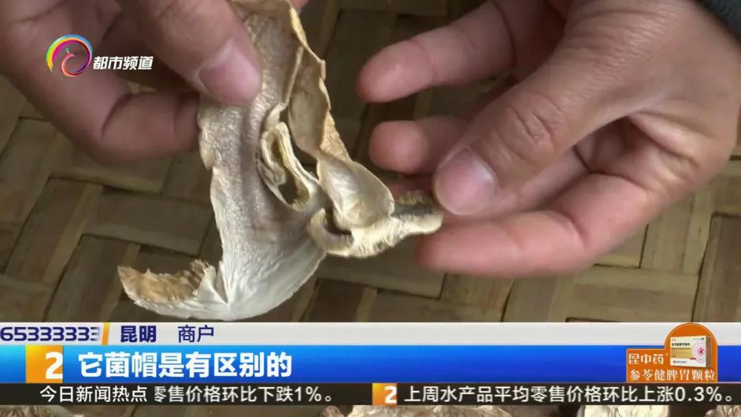 买到假虫草怎么检测,西藏买到假松茸