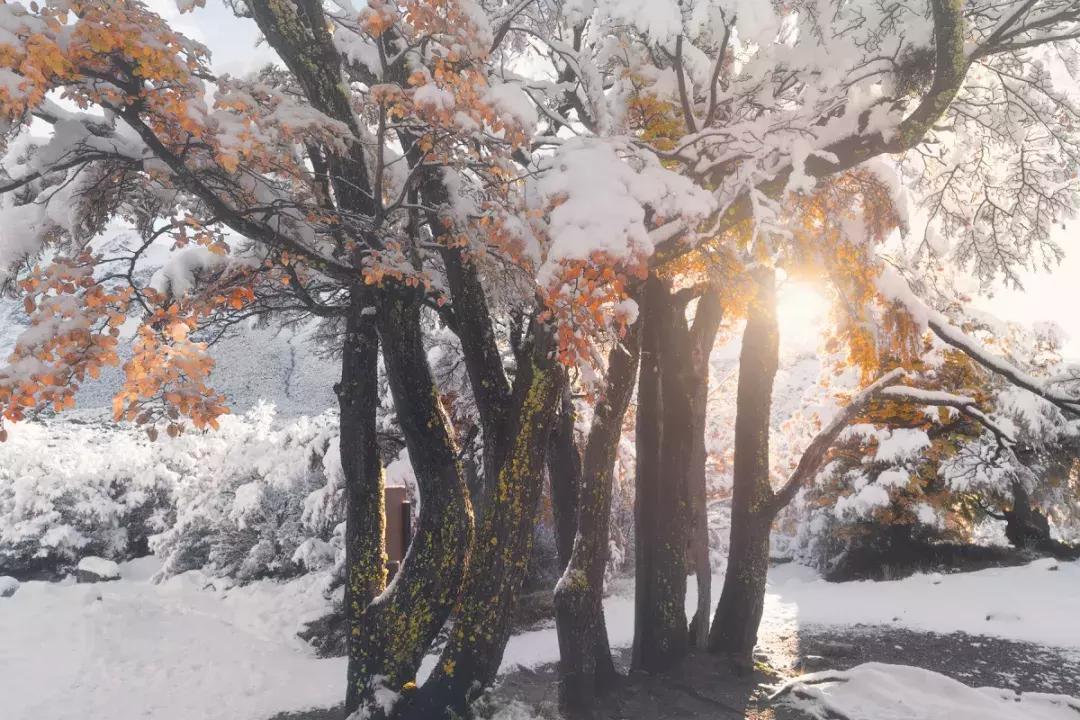 冰雪拍摄技巧和注意事项,冰天雪地雪景摄影技巧大全