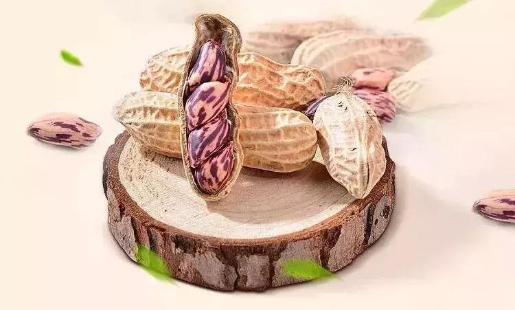 长生果的功效与作用及用途,长寿果的营养价值及功效与作用