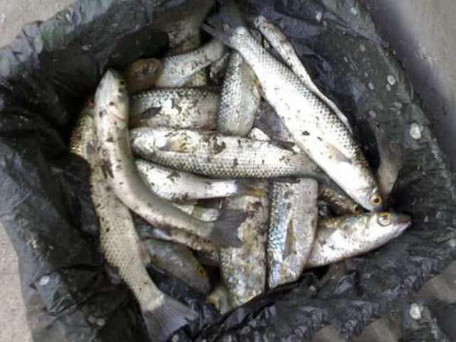 汽水钓海鱼视频,深水岸钓海鱼